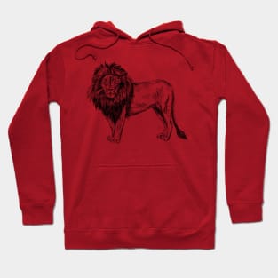 Lion Image Hoodie